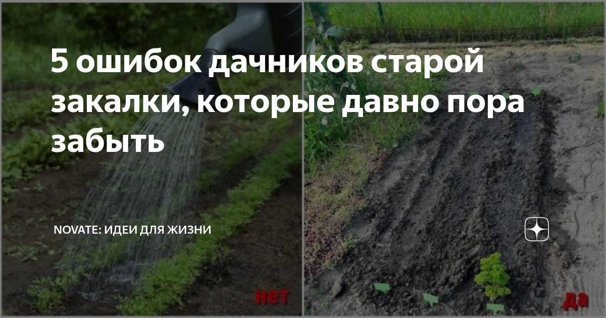 5 ошибок дачников старой закалки, которые давно пора забыть | Novate ...