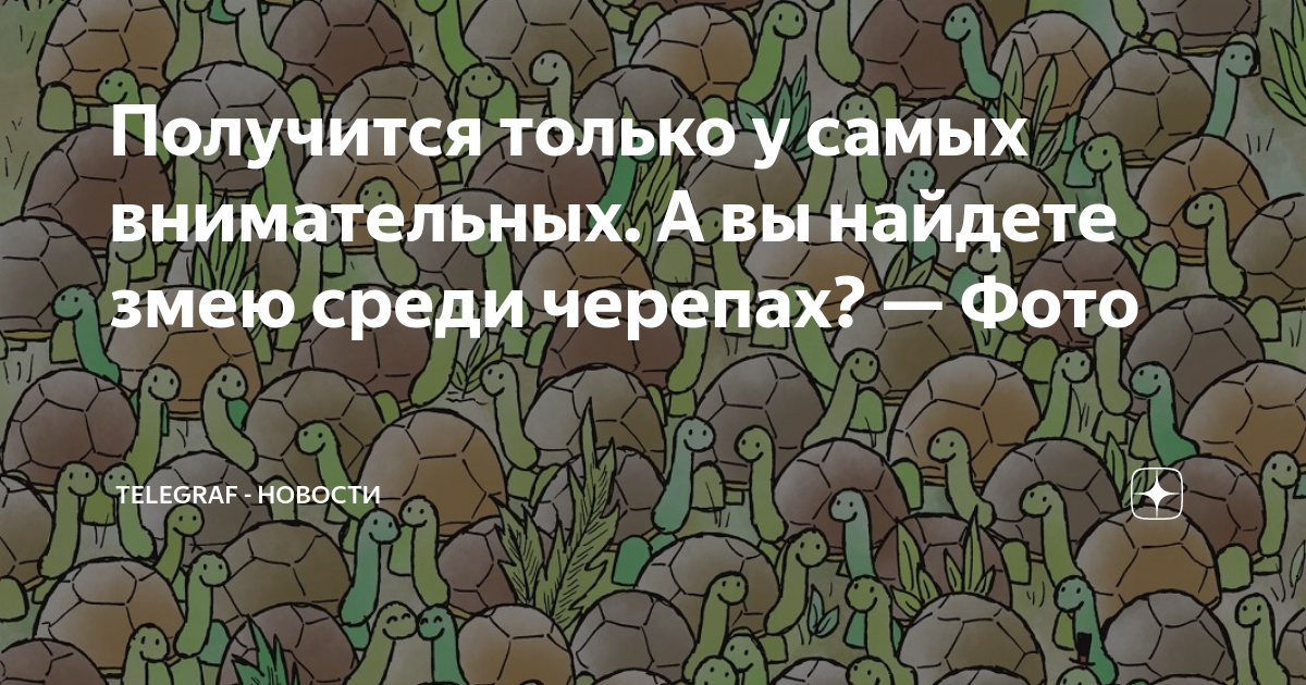 Найти змею среди черепах на картинке ответ на загадку