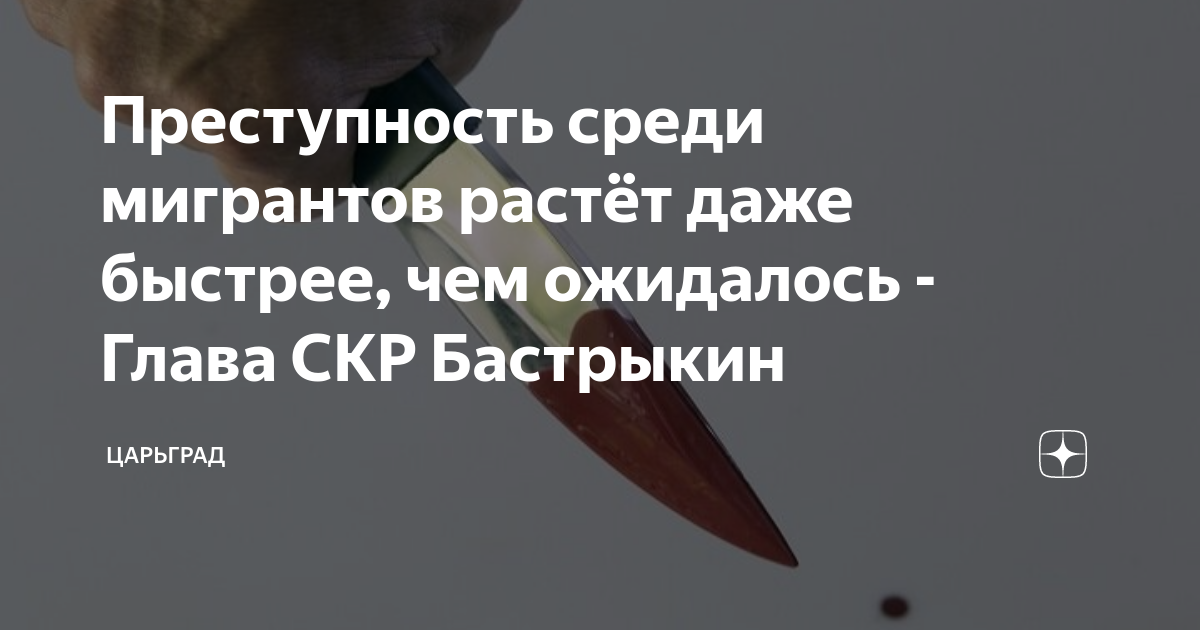 Преступность среди мигрантов растет даже быстрее, чем ожидалось - Глава СКР Бастрыкин