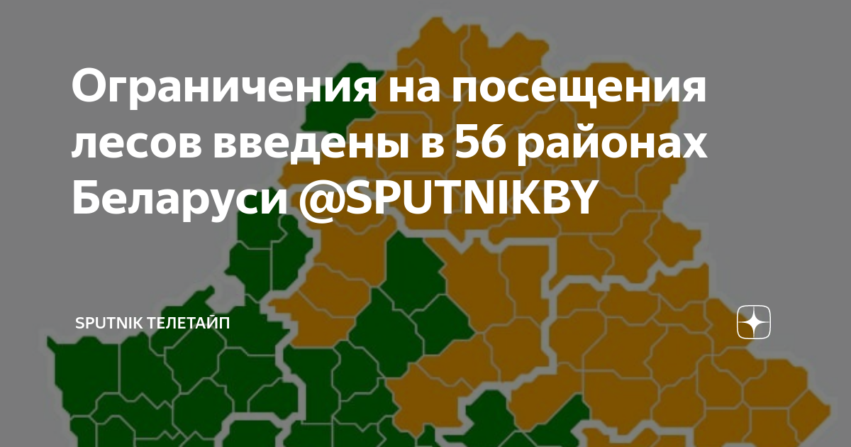 Карта запрета посещения лесов беларуси на сегодня. Карта запретов на посещение лесов в Беларуси на сегодня. Карта посещения лесов в Беларуси на сегодня. Карта запретов на посещение лесов. Ограничения на посещение лесов в Беларуси на сегодня.