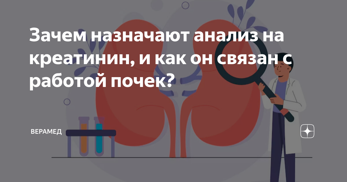 сколько готовится анализ на креатинин и мочевину