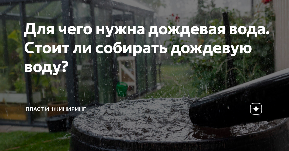 Для чего нужна дождевая вода. Стоит ли собирать дождевую воду? | Пласт ...