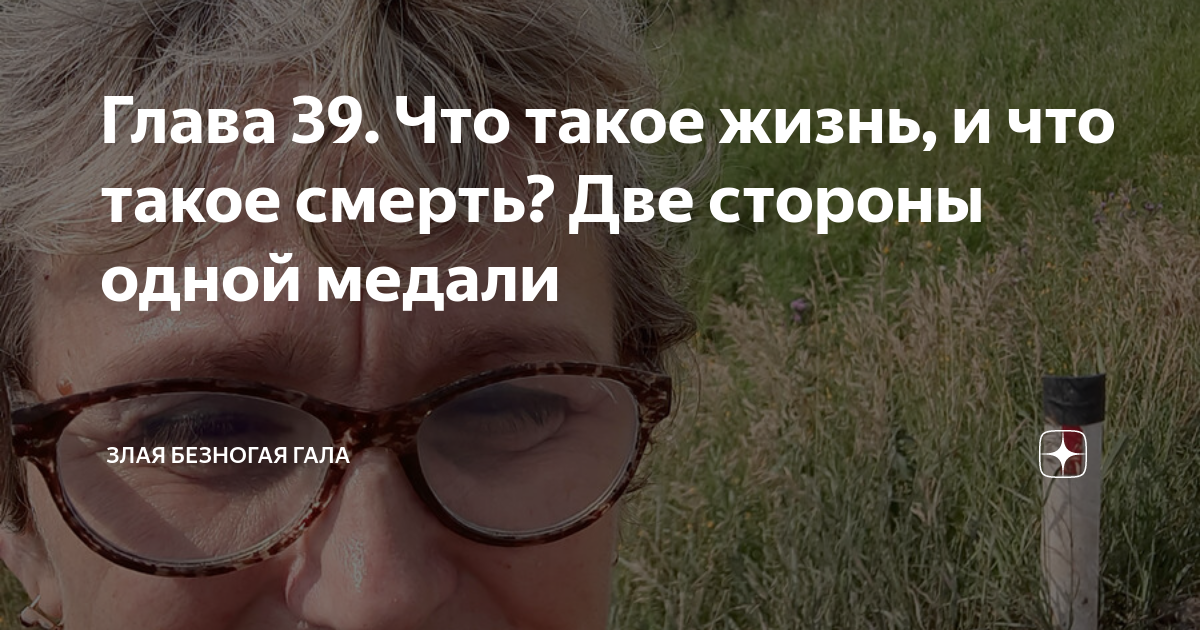 Злая безногая гала дзен Злая безногая гала дзен
