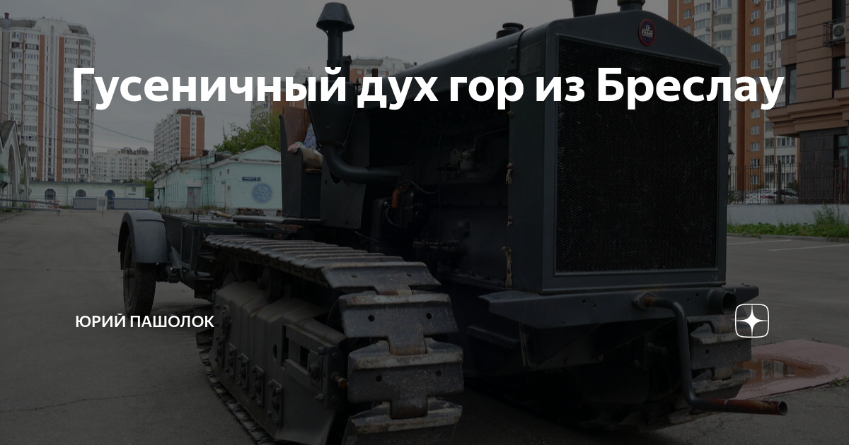 Гусеничный дух гор из Бреслау | Юрий Пашолок | Дзен