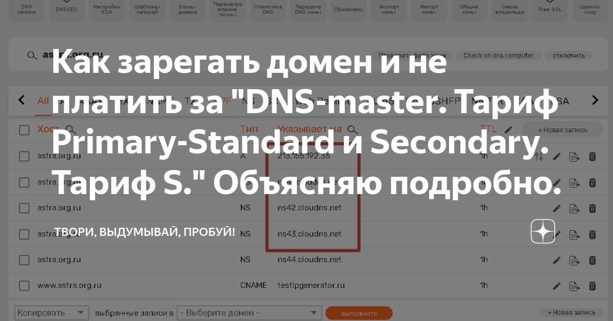Как зарегать домен и не платить за "DNS-master. Тариф Primary-Standard ...