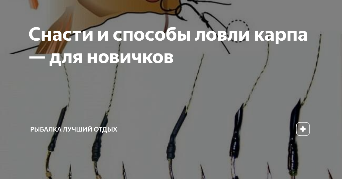 Снасти и способы ловли карпа — для новичков | Рыбалка Лучший отдых | Дзен