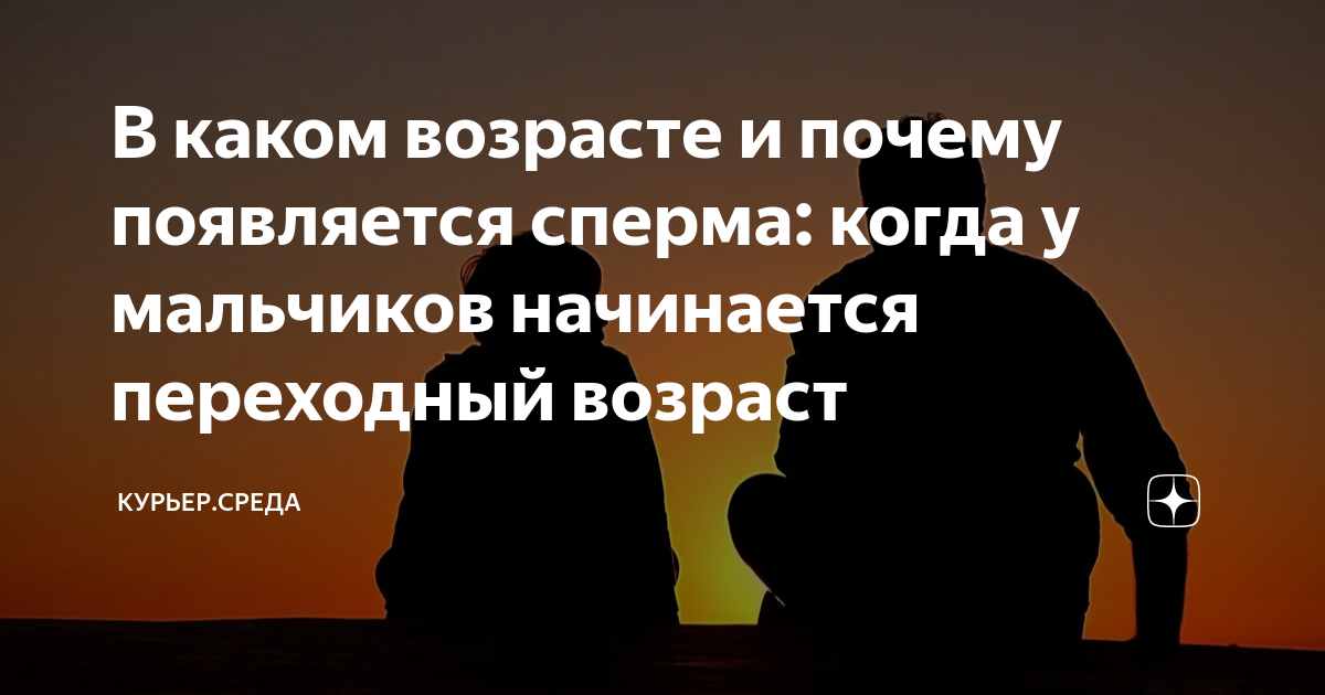 Как устроена мужская репродуктивная система - схема мужской половой системы