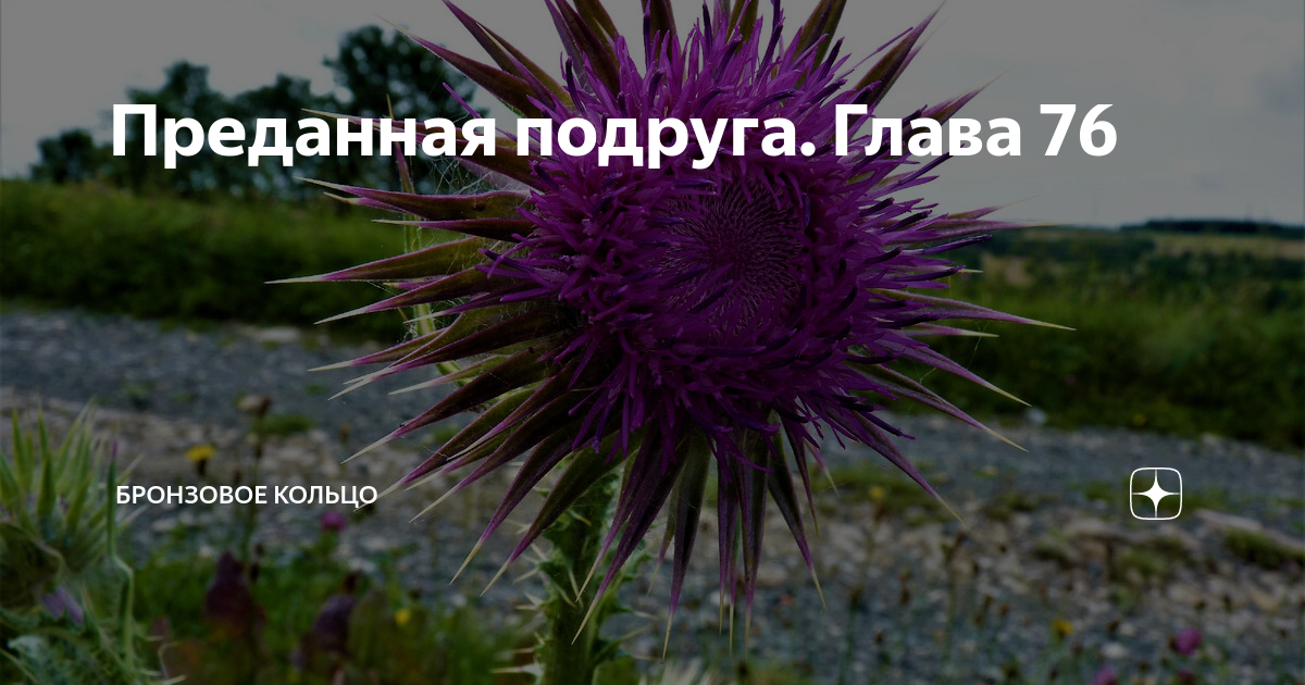 Преданная подруга. Глава 76 | Бронзовое кольцо | Дзен