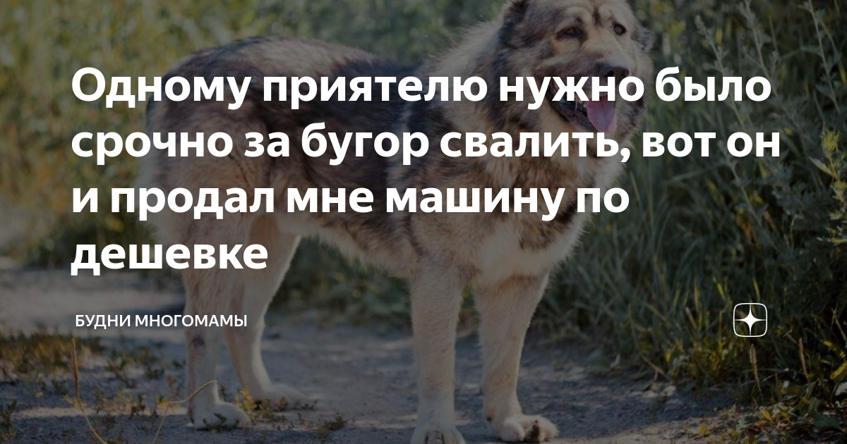 Одному приятелю нужно было срочно за бугор свалить, вот он и продал мне ...