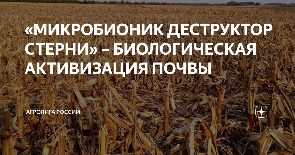 «МИКРОБИОНИК ДЕСТРУКТОР СТЕРНИ» – БИОЛОГИЧЕСКАЯ АКТИВИЗАЦИЯ ПОЧВЫ ...