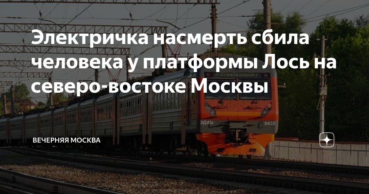 Электрички лось арсаки сегодня Электрички лось арсаки сегодня