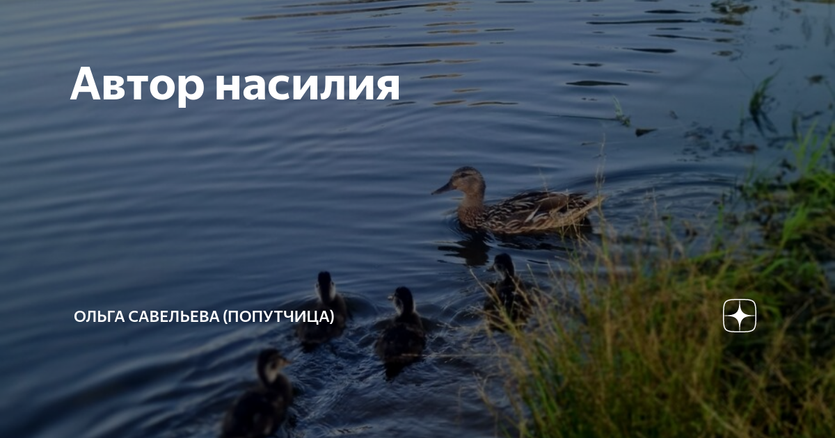 Автор насилия | ОЛЬГА САВЕЛЬЕВА (ПОПУТЧИЦА) | Дзен