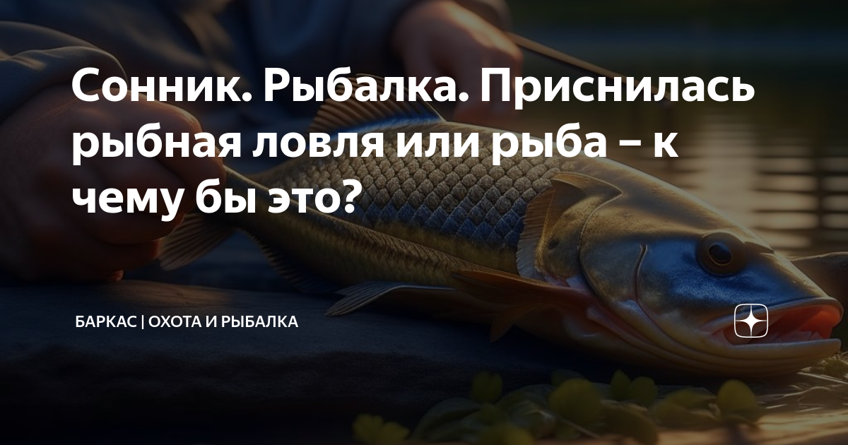 К чему снится ловить на удочку Закидывать удочку фразеологизм Вопросы и ответы