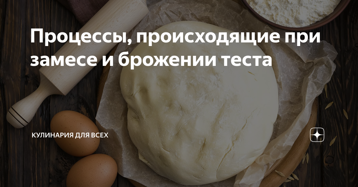 Процессы, происходящие при выпечке изделий из теста | La Cuisinette