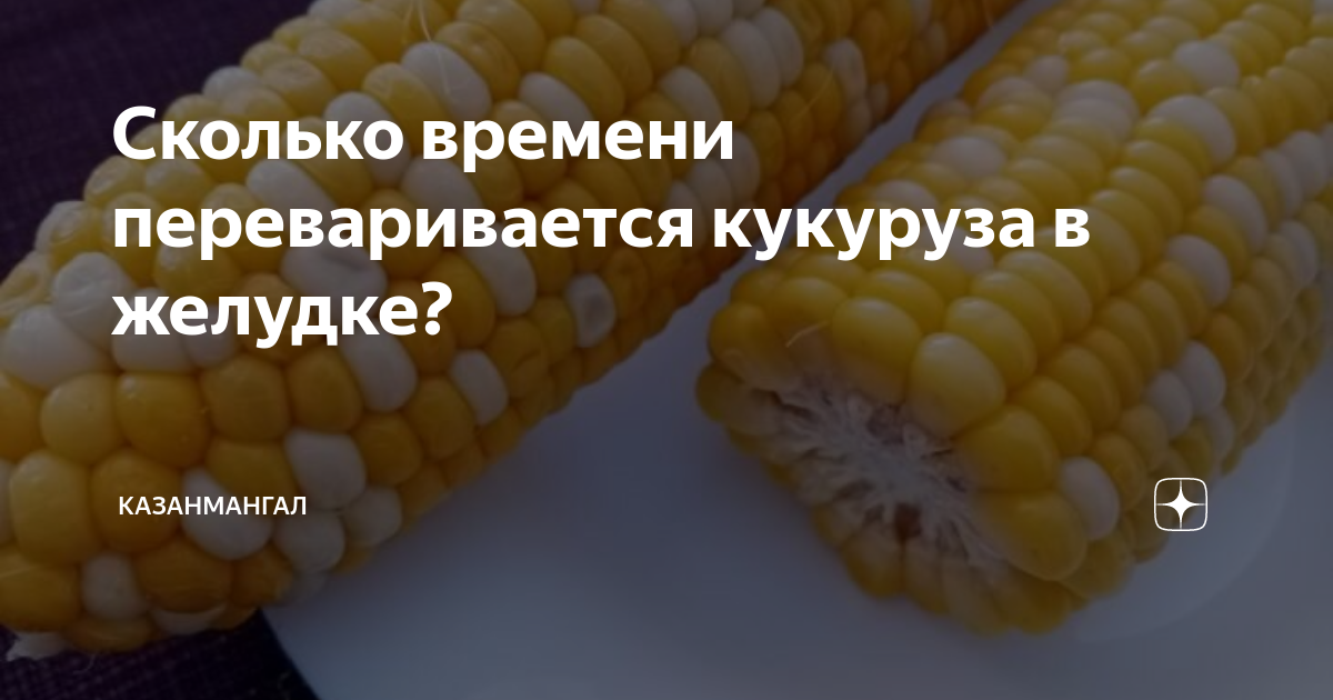 Ответы tarlsosch.ru: Правда, что кукуруза не переваривается?