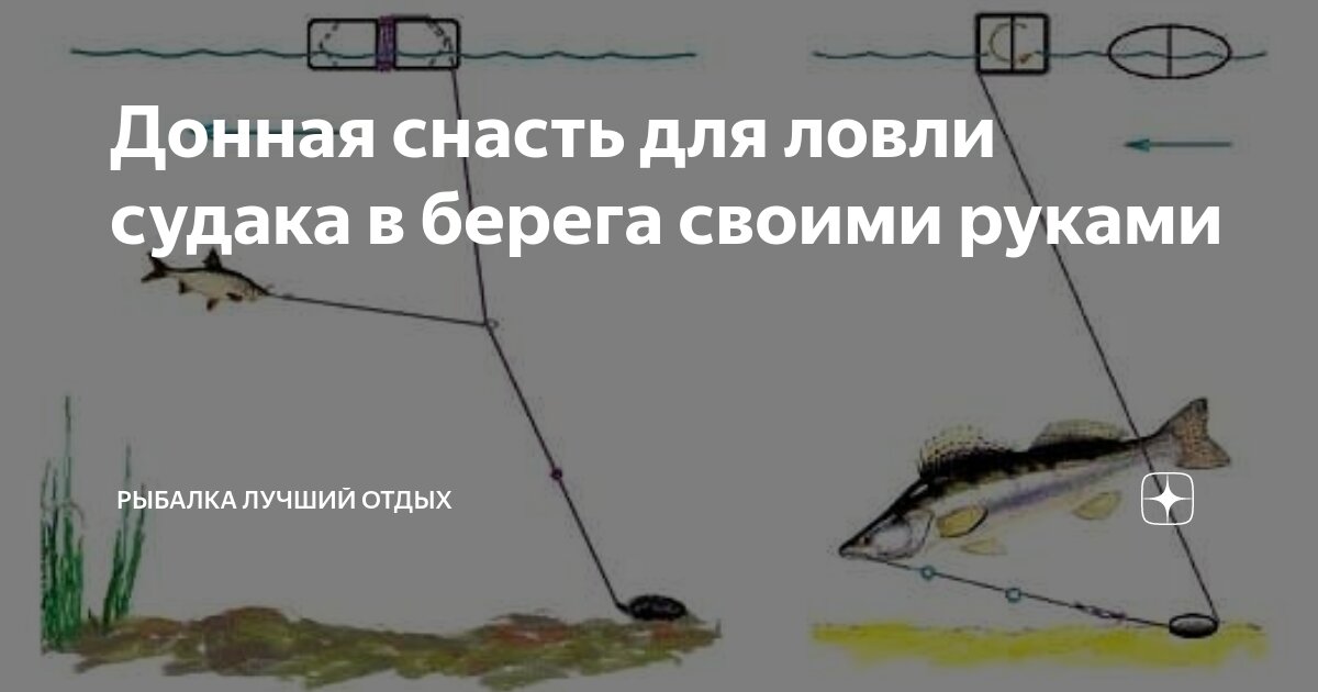 Донная снасть для ловли судака в берега своими руками | Рыбалка Лучший ...