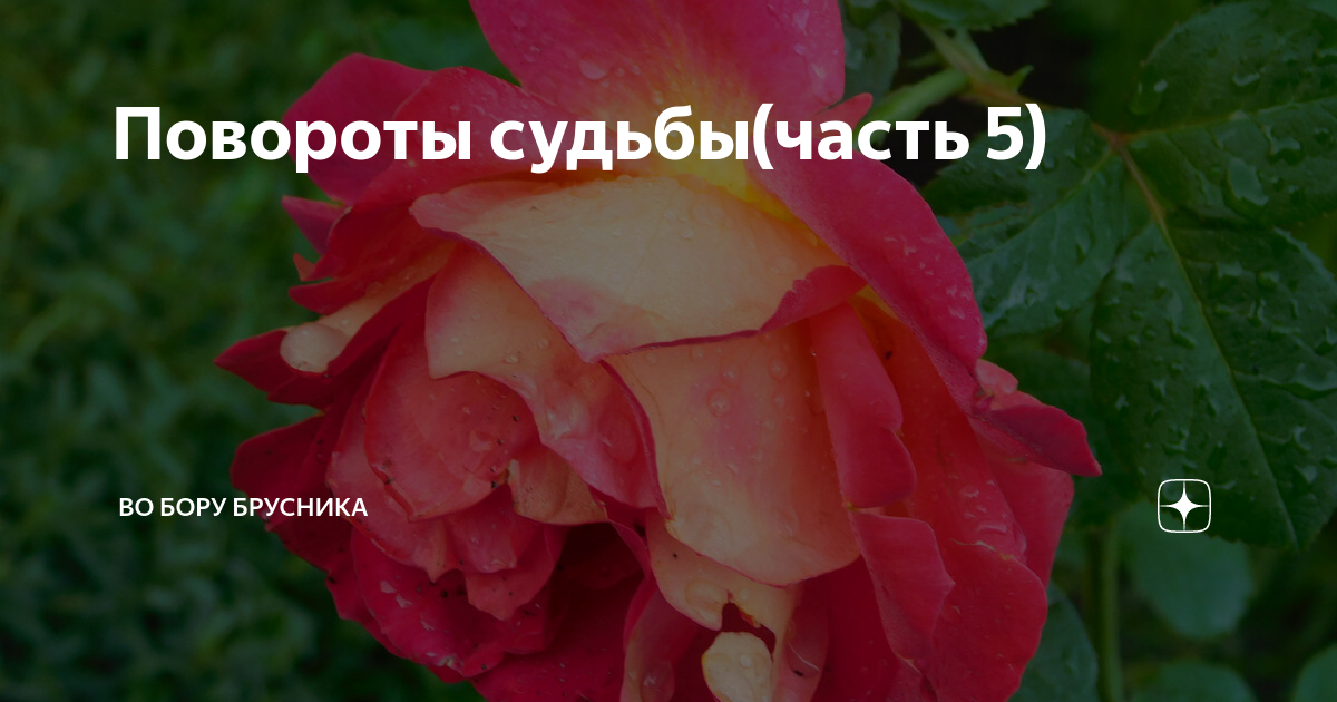 Повороты судьбы 4 часть.