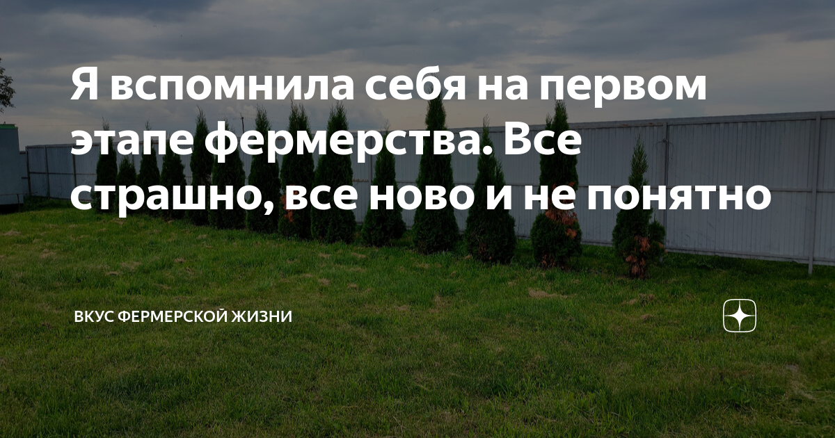 Расходов на мебель впервые окунувшись в эту новую для себя тему я понял что