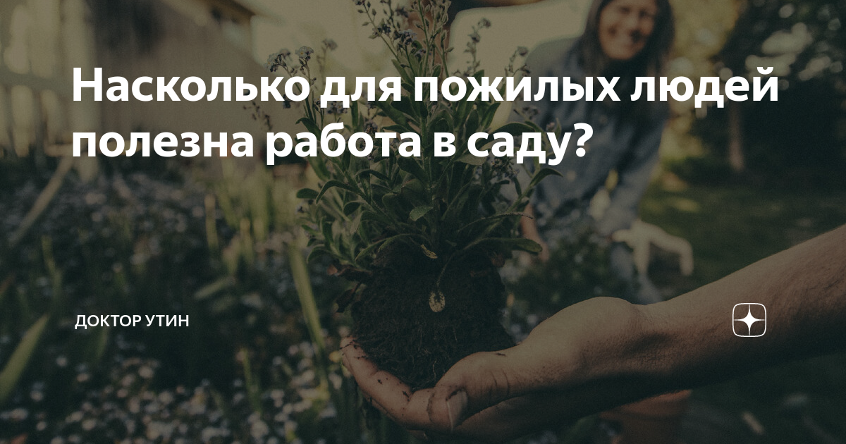 Насколько для пожилых людей полезна работа в саду? | Доктор Утин