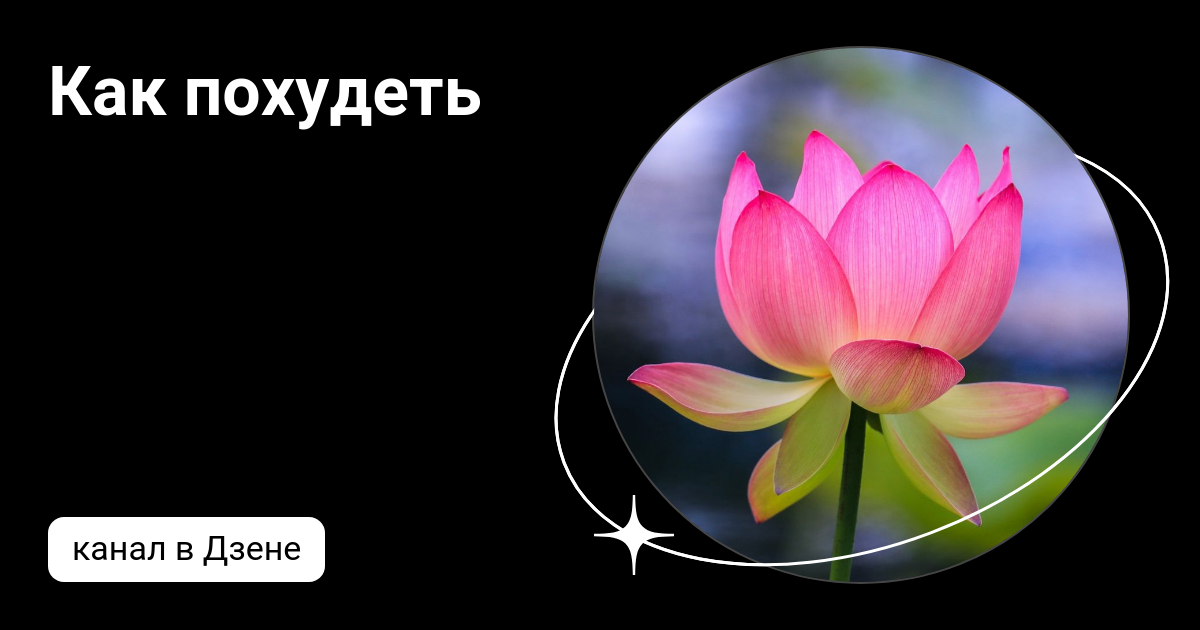 Лена похудение дзен