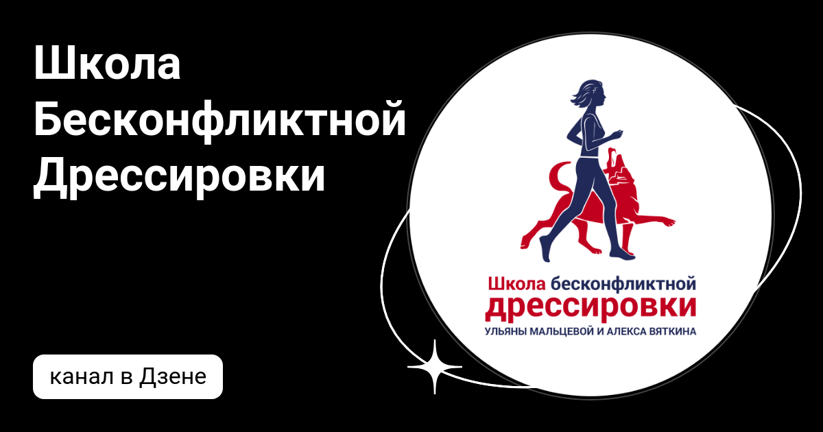 Школа бесконфликтной дрессировки. Собака кланяется. Дрессировка собаки с инструктором. Тройное интервью дрессировка в школе. Школа бесконфликтной дрессировки.