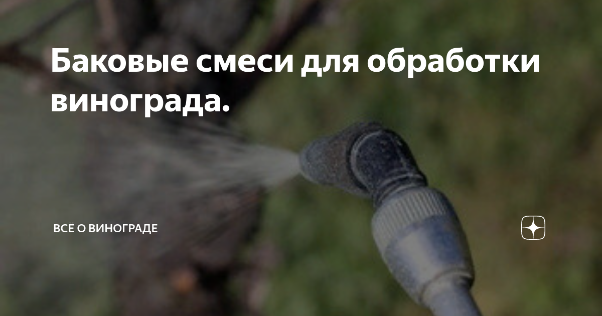 Баковые смеси для обработки винограда. | Всё о винограде | Дзен