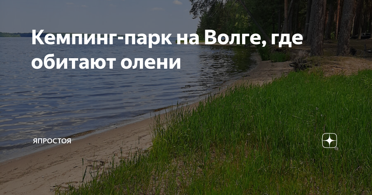 Парк за волгой