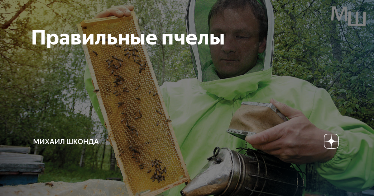 Товары для пчеловодства в Шахтах