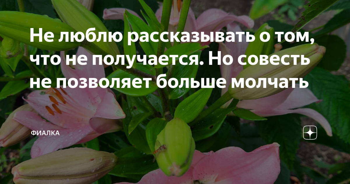 Не люблю рассказывать о том, что не получается. Но совесть не позволяет ...