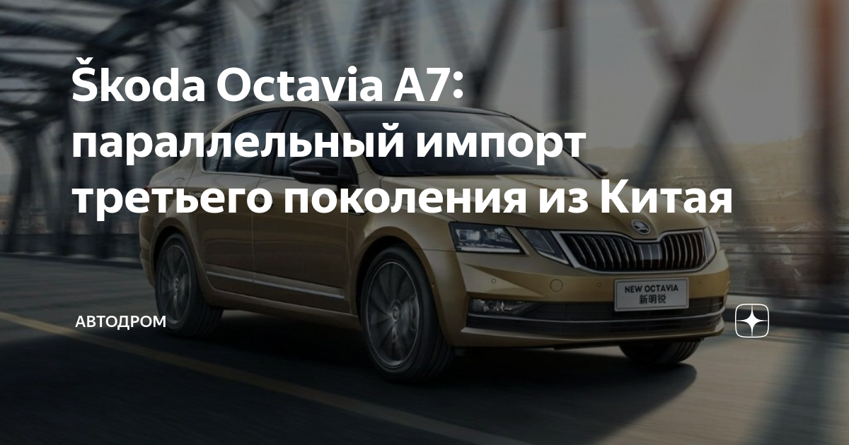 Шкода параллельный импорт. Шкода параллельный импорт