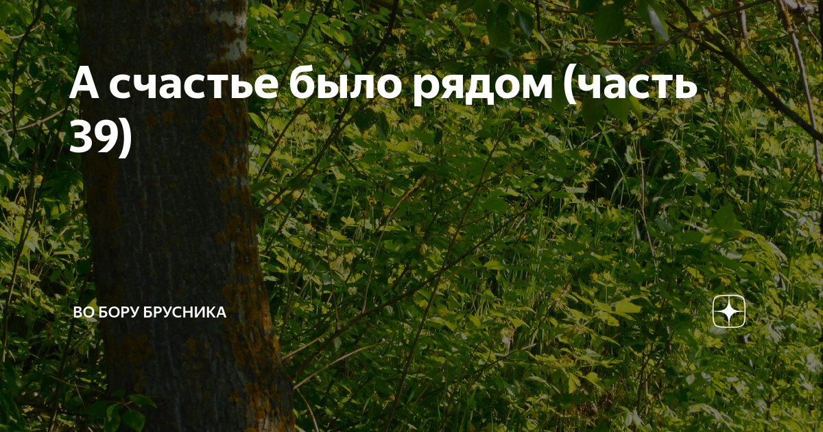 Во Бору брусника дзен. Во Бору брусника дзен читать. Во Бору брусника 41. Во Бору брусника дзен а счастье было рядом часть.