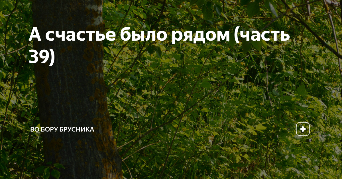 Во Бору брусника дзен. Во Бору брусника дзен рассказы. Во Бору брусника дзен рассказы читать. Во Бору брусника дзен читать.