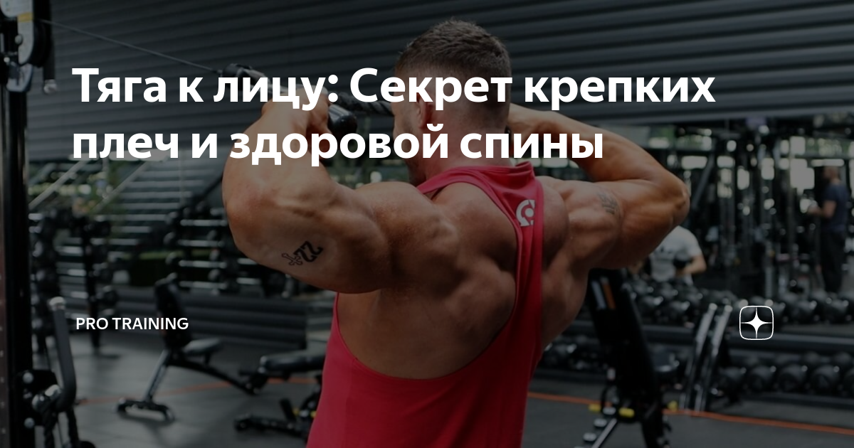 Тяга к лицу: Секрет крепких плеч и здоровой спины | Томаш Игорь | Pro ...