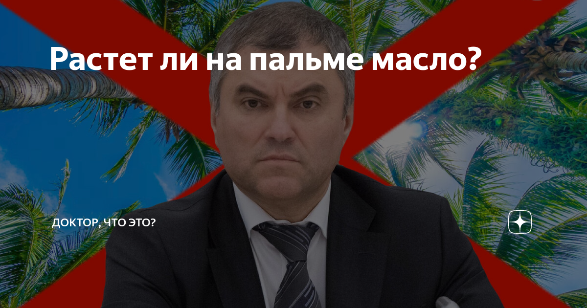 что растет на пальме в сочи
