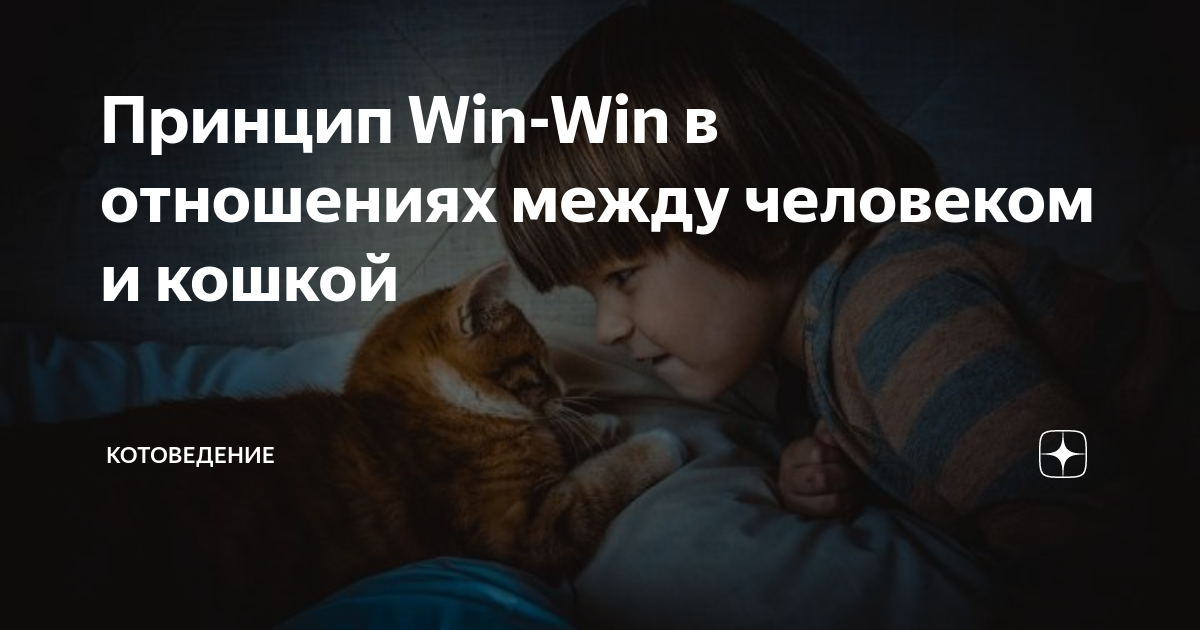     - win-win        