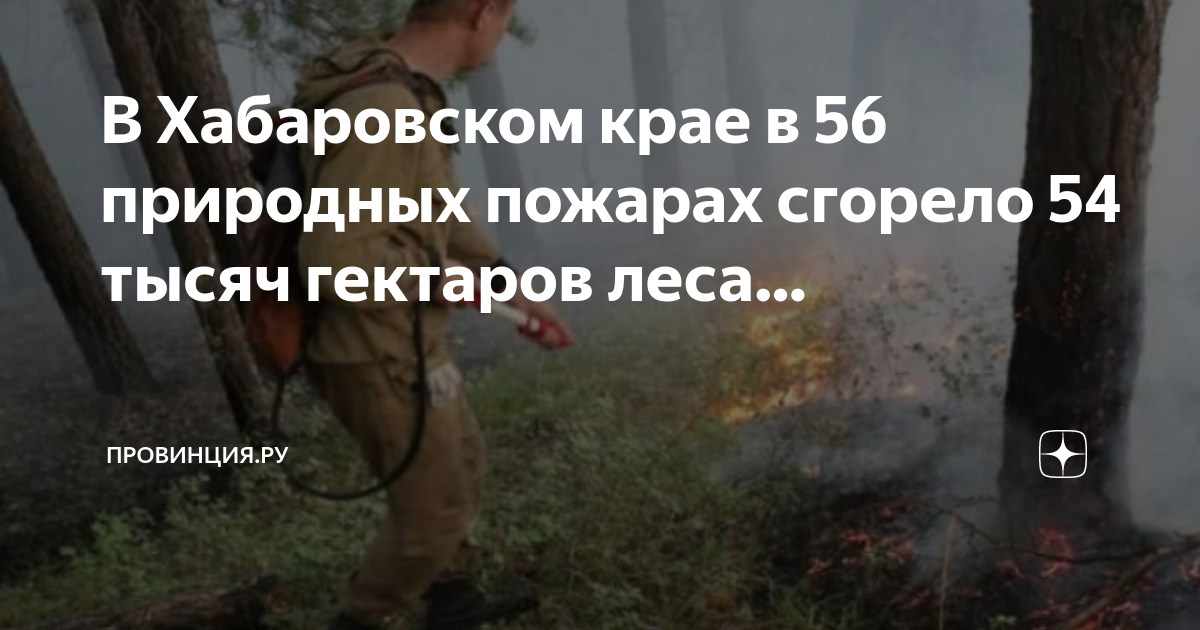 Карта лесных пожаров хабаровский край