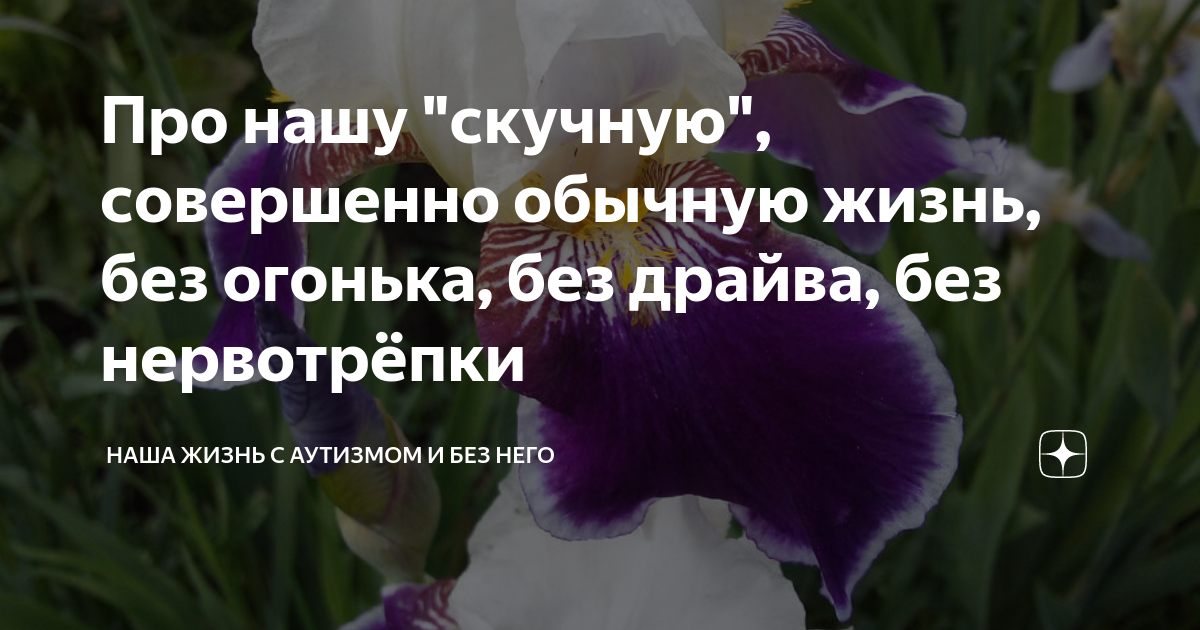 Про нашу "скучную", совершенно обычную жизнь, без огонька, без драйва ...