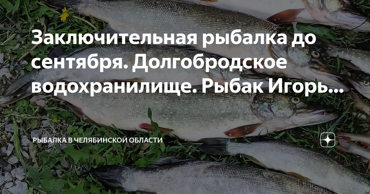 Долгобродское водохранилище на карте челябинской области Заключительная рыбалка до сентября. Долгобродское водохранилище. Рыбак Игорь. Ры