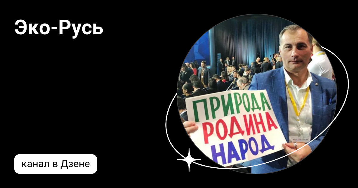 Подписаться на канал в дзене. Эко канал Тюмень. ЭКОРУСЬ.