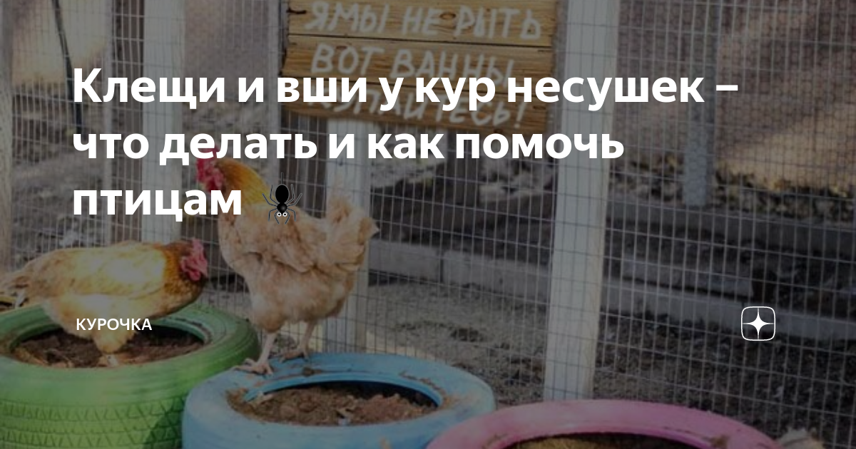вши у козлят что делать