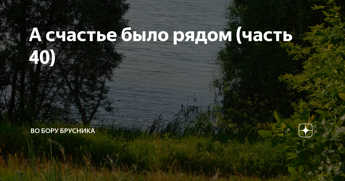 Во Бору брусника дзен. Во Бору брусника дзен рассказы читать. Во Бору брусника пусть будет. А счастье было рядом 43 часть.