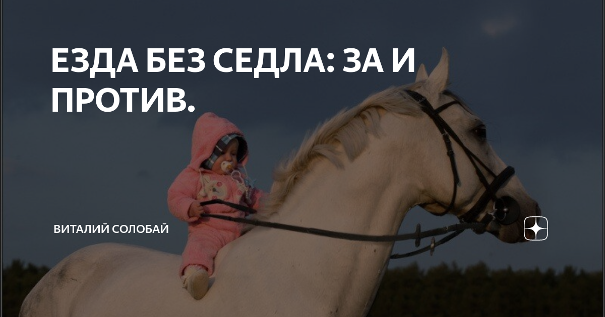 Конь минус плюс. Выставка лошадей 2023. Конный спорт. Цыганская упряжная лошадь тинкер. Конь минус плюс.