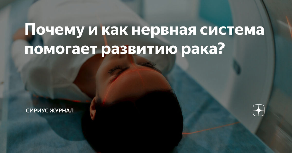 Почему и как нервная система помогает развитию рака? | Сириус Журнал | Дзен