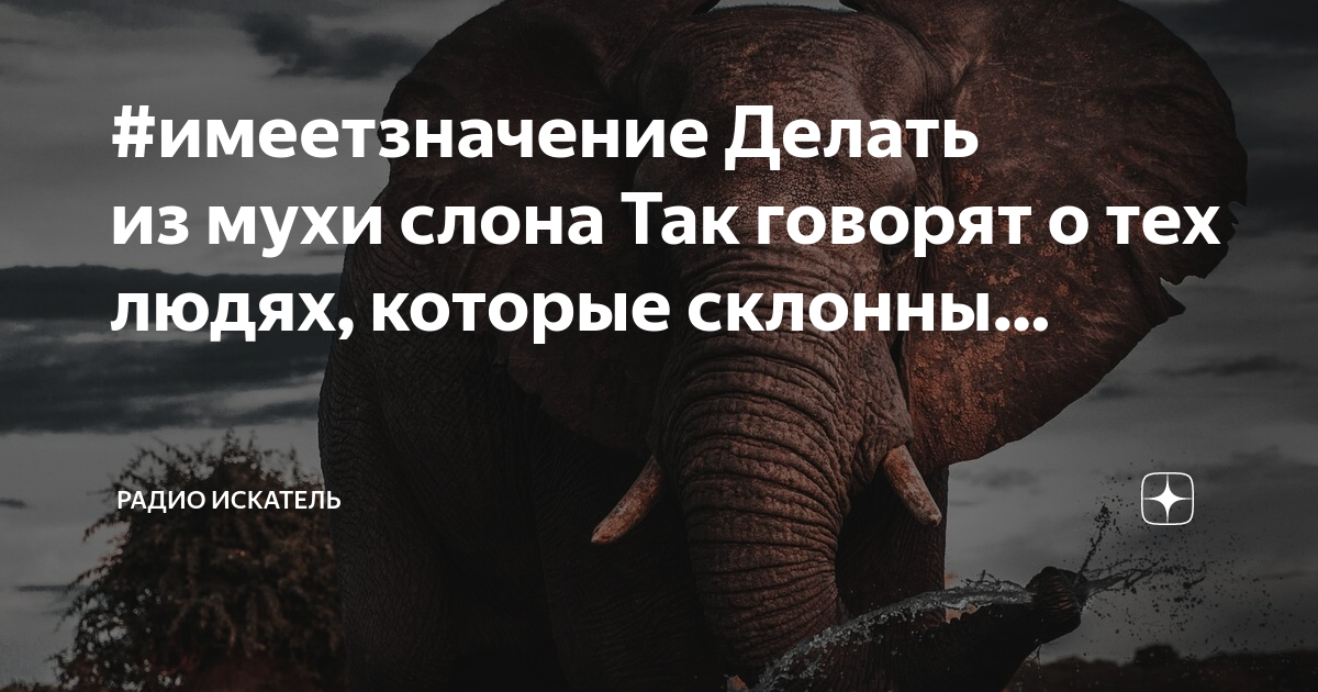 Женщины более склонны к изменам. Что людям которые склонны. Прикольные фразы про подруг. Высказывания о чистоте и порядке. Что людям которые склонны.