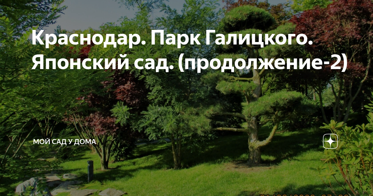 Билеты в парк галицкого японский. Парк Галицкого в Краснодаре японский сад. Японский сад в парке Галицкого. Японский сад в парке Галицкого в Краснодаре. Японский сад в парке Галицкого на плане.