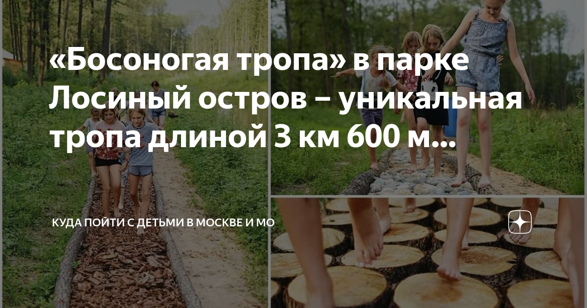 Тропа здоровья Лосиный остров