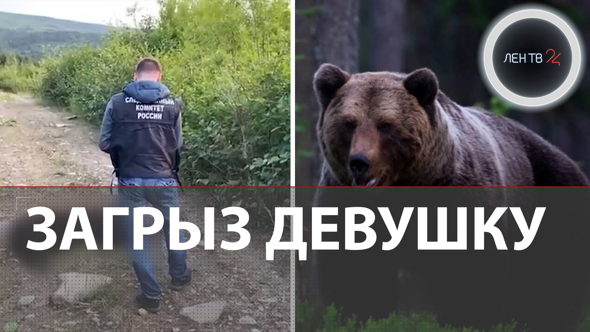 Медведь загрыз человека