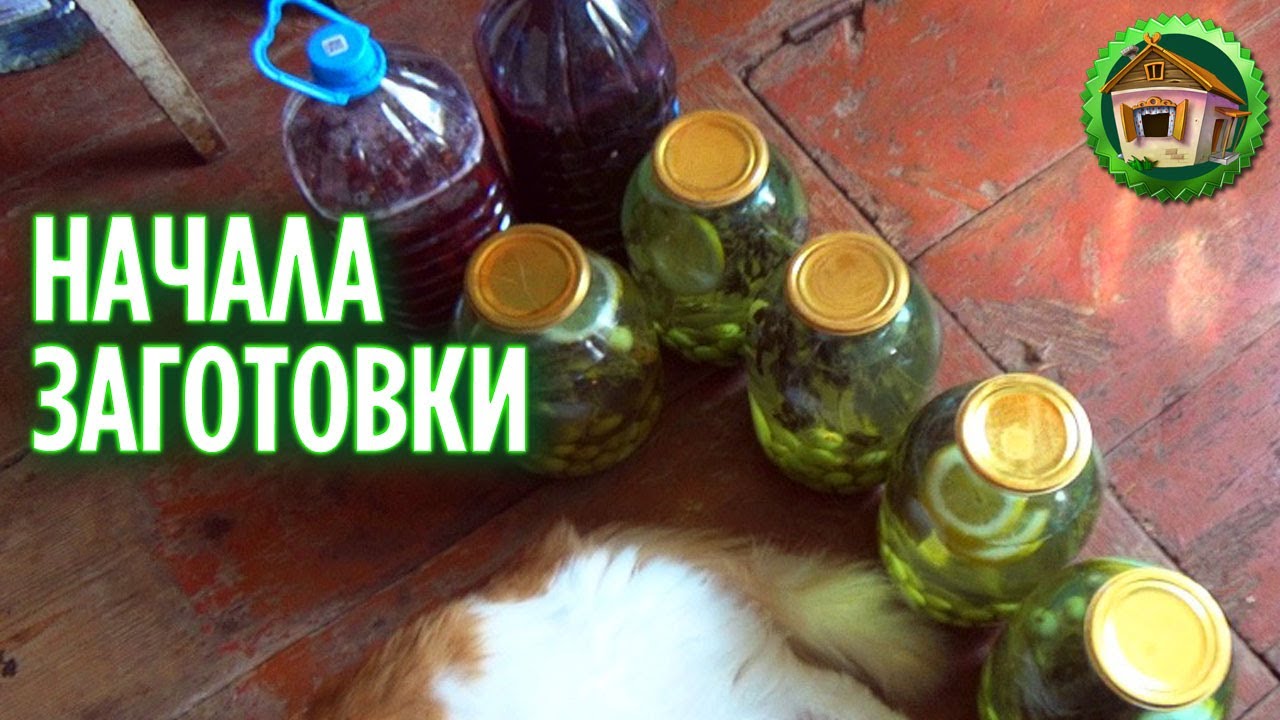 в прошлом году в заповеднике заготовили на зиму 14 стогов сена. в прошлом году в заповеднике заготовили на зиму.