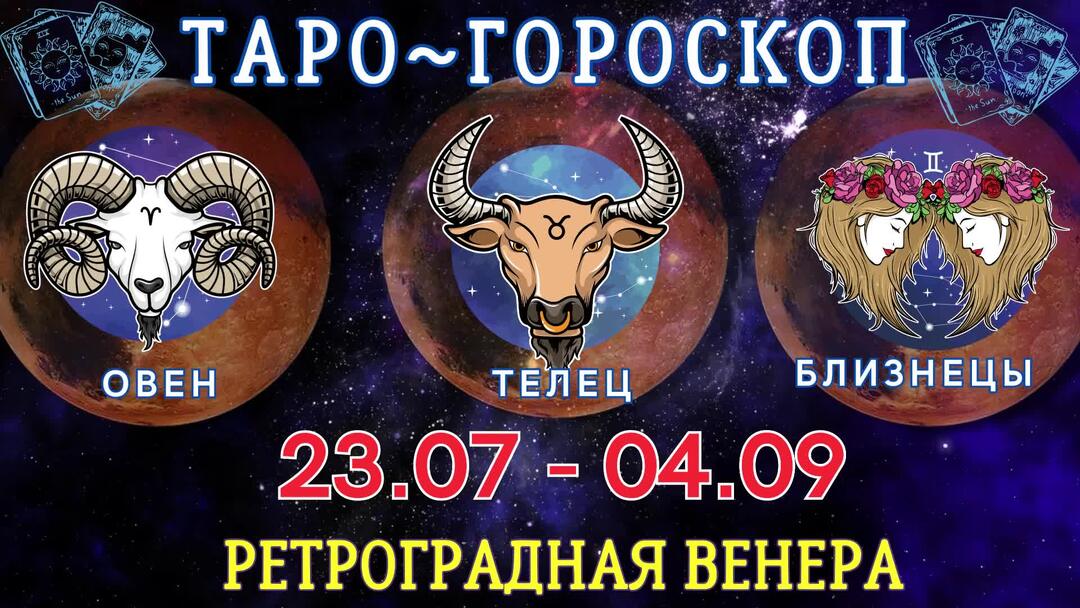 28 августа близнецы