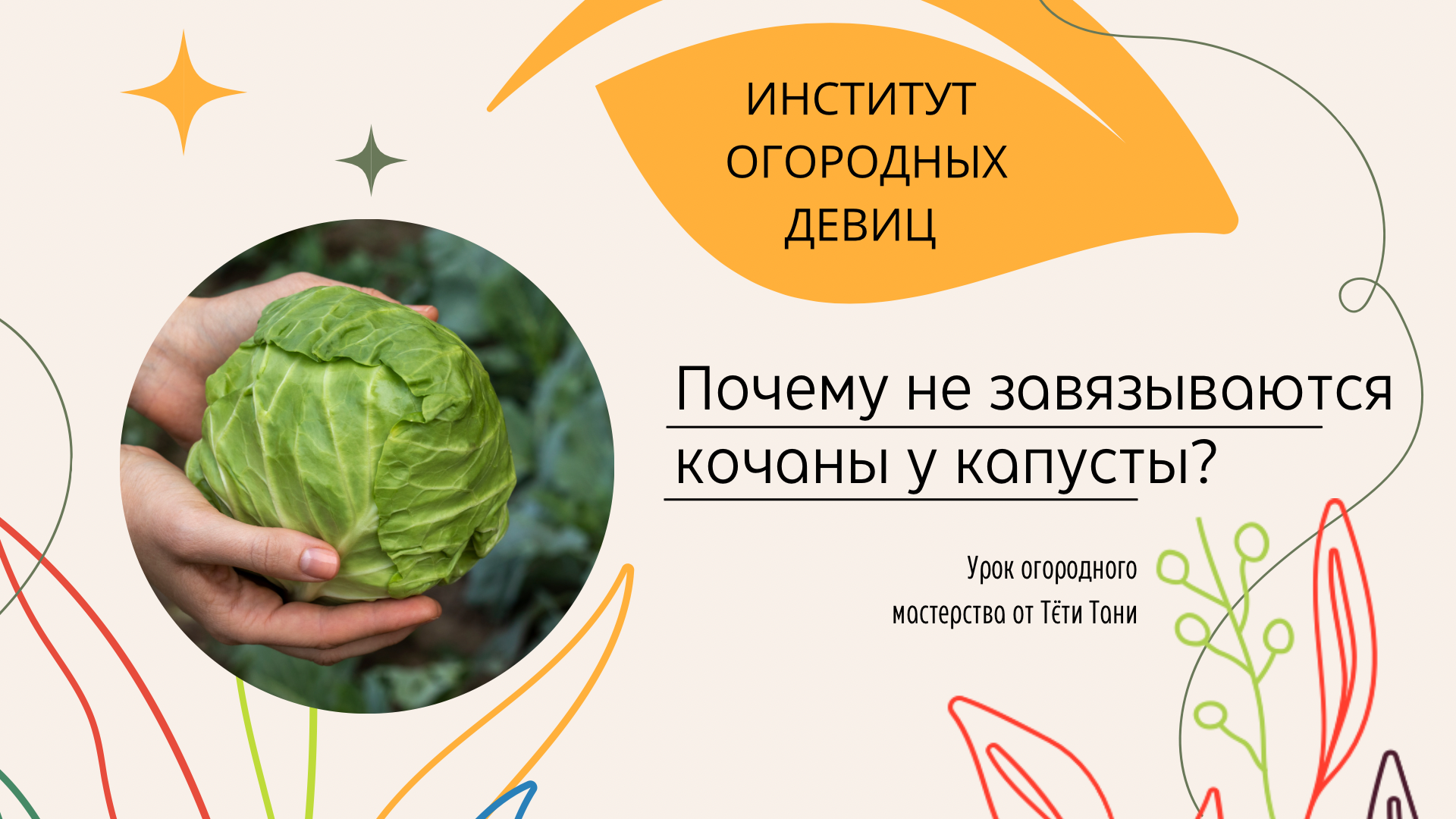 капуста как редис. институт огородных девиц про капусту. институт огородных девиц о фитофторе. калий для моркови для чего нужен. институт огородных тетя таня дзен.